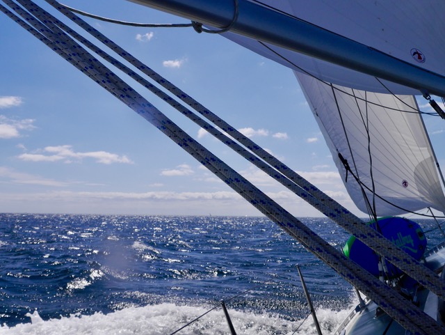 The perfect working sail area in a breeze: Mainsail and 110% Jib.