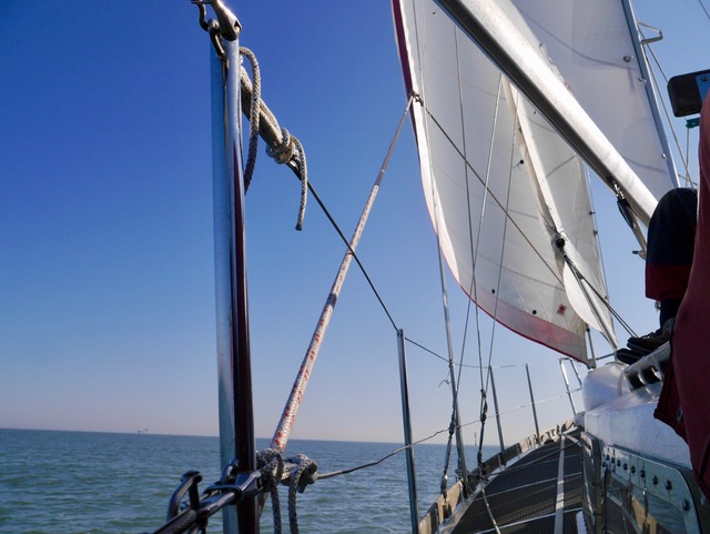 Cruising Options