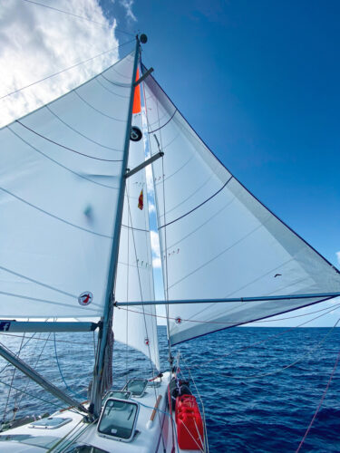 in-mast furling mainsail, crosscut, no battens