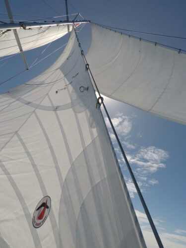 susanne huber-curphey nehaj cutter rig diamond yankee and staysail