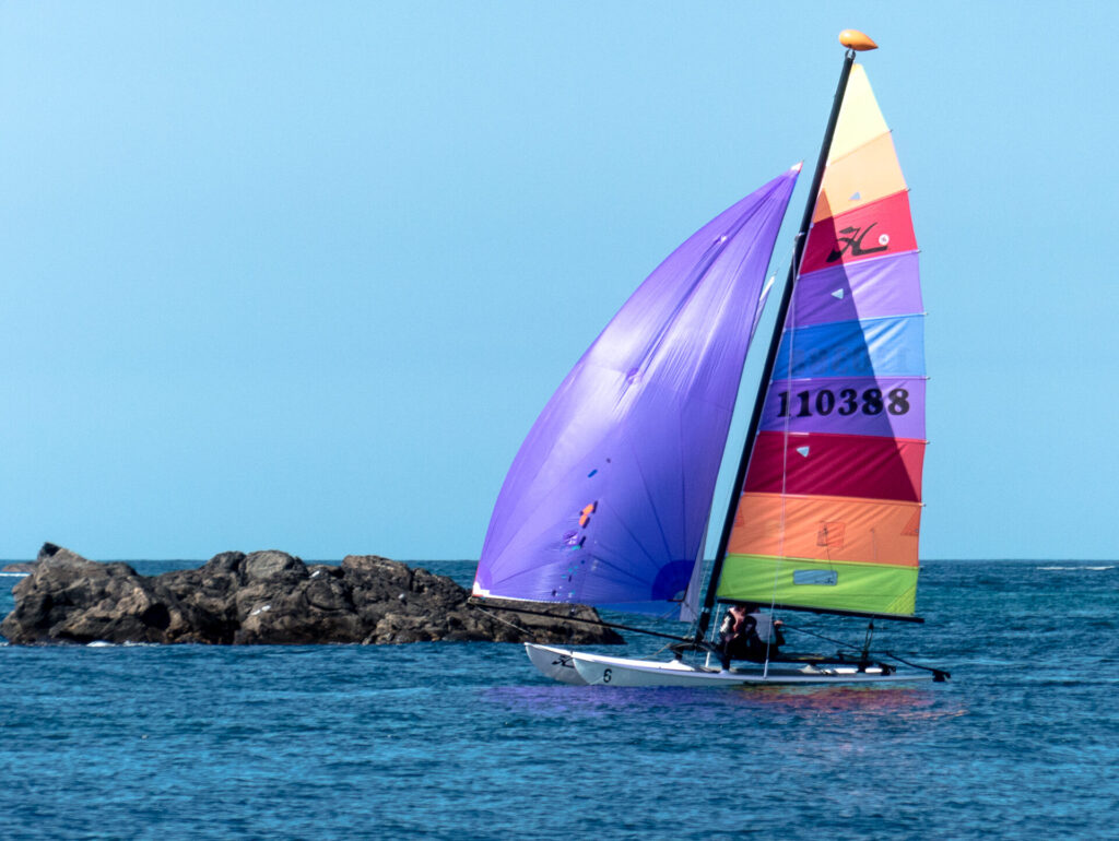 Hobie 16 Cat wth gennaker