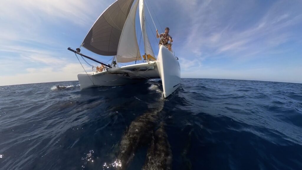 Catamaran Bowsprit setup